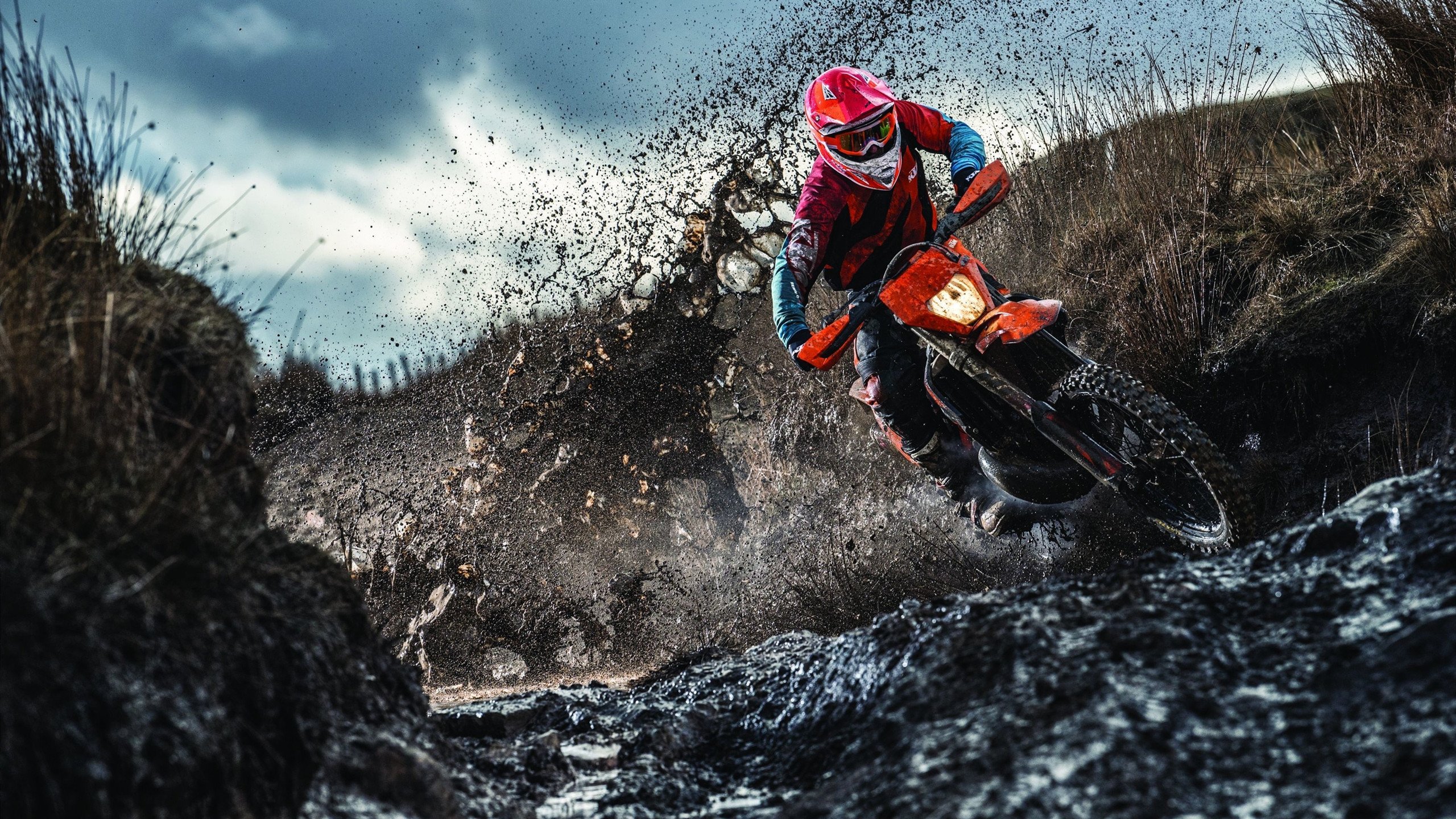 百米飞人巅峰对决,新星闪耀,传奇再续